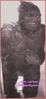 Filename=almasty-full-bw1csj.jpg
Filesize=76KiB
Dimensions=435x933
Date added=Apr 07, 2007 almasty-full-bw1csj.jpg
