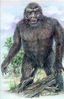 Filename=angry.jpg
Filesize=19KiB
Dimensions=327x504
Date added=May 09, 2009 angry.jpg